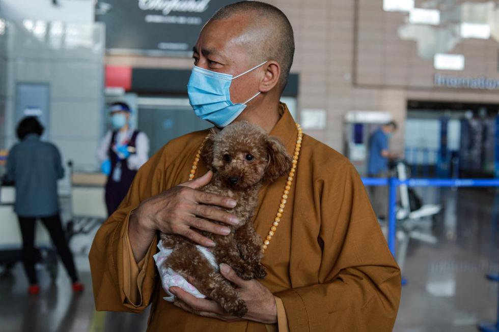 Zhi Xiang el monje budista que ha salvado la vida de 8 mil perros callejeros